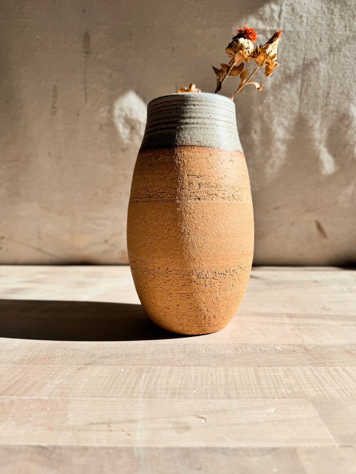 High Desert Vase in short rounded form holding small dried flowers, showing glazed grooved neck and textured clay body