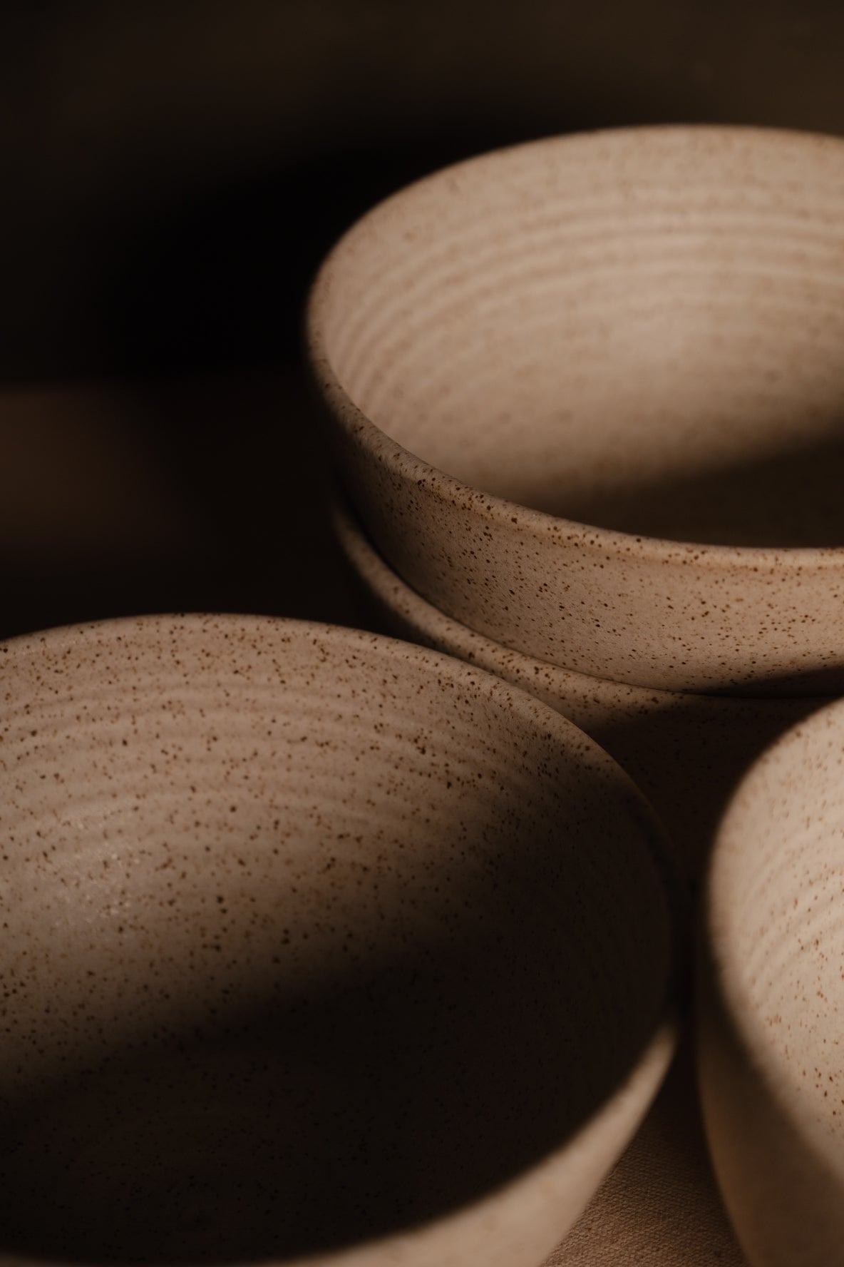Speckled Buff Ramen Bowl, three bowls grouped close showing interior throwing rings and matte finish
