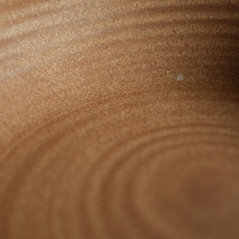 Fat Rim Dinner Plate glaze swatch, macro texture of warm raw stoneware with concentric wheel marks.