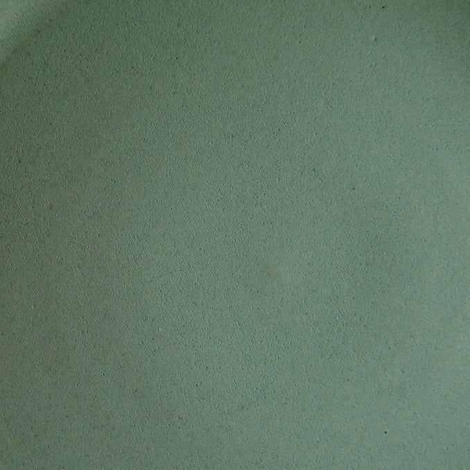 Fat Rim Dinner Plate glaze swatch, macro view of matte sage green speckled stoneware texture.