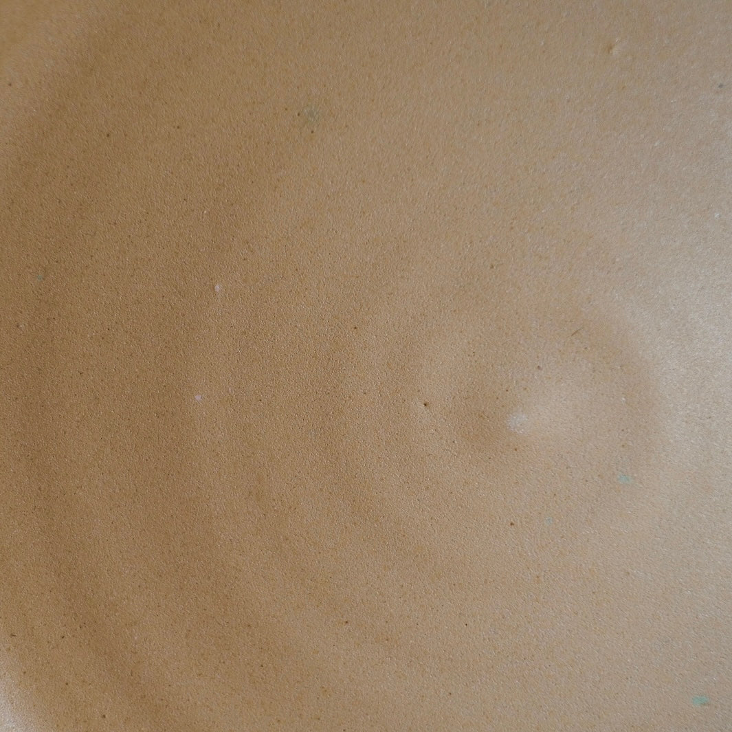 Fat Rim Dinner Plate glaze swatch, macro view of sandy tan ceramic surface with fine pinholes.