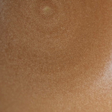 Fat Rim Dinner Plate glaze swatch, macro view of fine speckled caramel brown glaze with soft sheen.