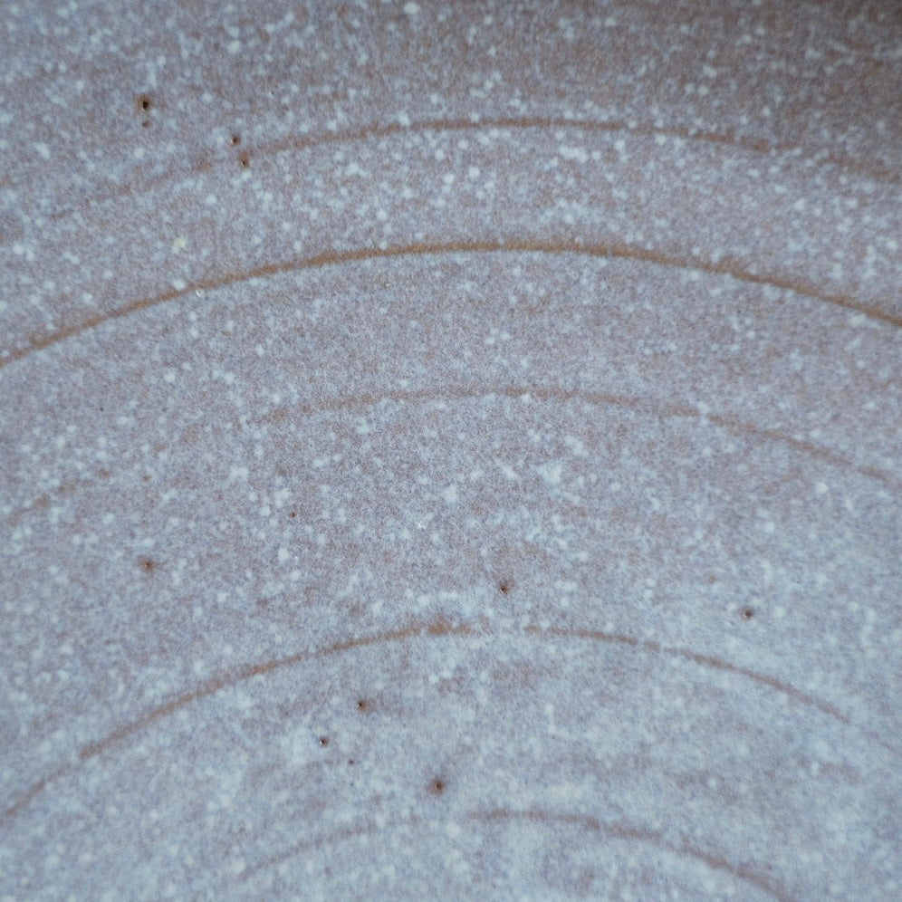 Fat Rim Dinner Plate glaze swatch, close-up showing concentric throwing lines beneath speckled white glaze.
